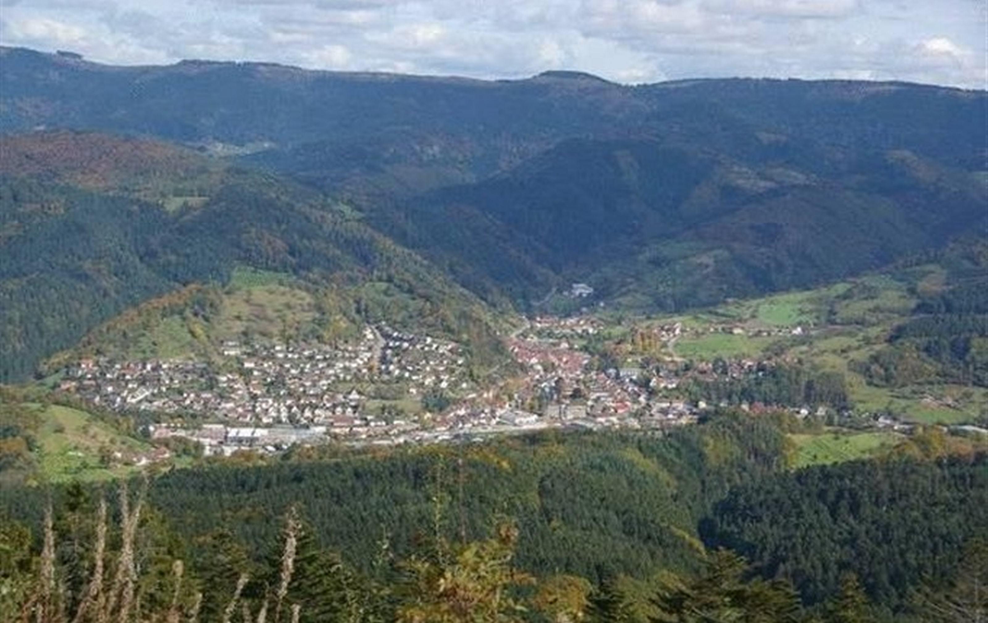 Gasthaus Finken Oppenau Eksteriør bilde
